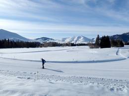 Dollar Mountain - Sun Valley