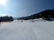 Pista Speed Kaiserburg