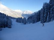 Parte superiore facile della discesa a valle verso la Almkopfbahn fino a Bichlbach