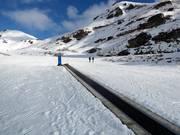 Shorty - Tapis roulant/Tappeto Magico