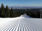 Ottima preparazione delle piste a Borovets