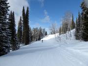 Facile traversata Teton Vista