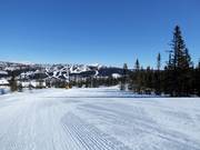 Pista facile Vesleseterbakken