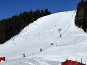 Pista nera Lärchenschuss