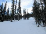 Le Monster Glades a Nakiska