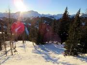 Discesa nel bosco al Goat's Eye Mountain