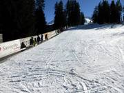 Suggerimento per i più piccoli  - Tigignas-Park