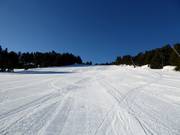 Pista Bruyère Basse