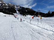 Minilift Ehrwalder Alm - Manovia/Babylift a fune bassa