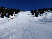 Pista nera n. 19d presso Hanser X-Press