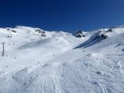 Pista A Real Journey