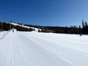 Pista Nedre Bøseter Nr. 29