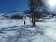 Lutins - Skilift a piattello