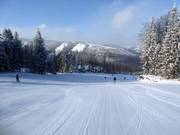 Pista intermedia Malinowa