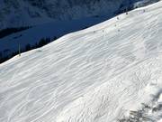 Ottima preparazione delle piste