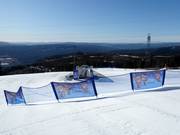 Suggerimento per i più piccoli 