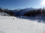 Facile pista per principianti Scoiattolo alla stazione intermedia Tarlenta