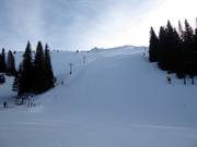 Pista Olimpik 5 (FIS)