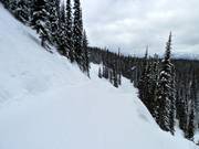 Pista di collegamento Ripper Connector