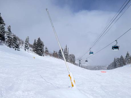 Sicurezza neve Wasatch Mountains – Sicurezza neve Snowbasin