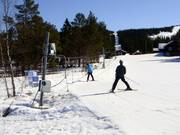 Transportern - Skilift a piattello