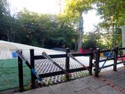 Vista sulla Nursery Slope