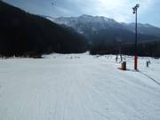 Piste facili presso gli impianti di risalita a valle