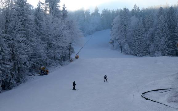 Comprensori sciistici per principianti nel Circondario di Cham – Principianti Hohenbogen - Neukirchen bei Hl. Blut