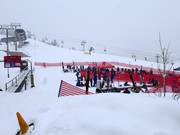 Suggerimento per i più piccoli 