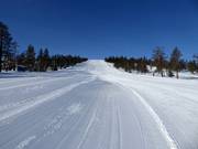 Pista Femåbacken in Tandådalen
