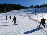 Tapis roulant nell’area principianti