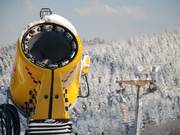 Uno dei sette cannoni da neve