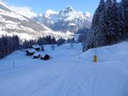 Discesa a valle verso Engelberg
