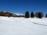 Pista di esercitazione Snow Island