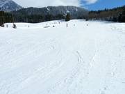 Piste ampie e pianeggianti a Hinterthal