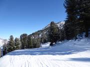 Facile collegamento panoramico