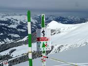 Chiusura delle zone di protezione forestale e faunistica