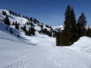 Pista facile Hühnerspiel-Lochstafel