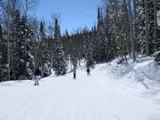 Pista facile Ontario