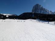 Piste per principianti al Monte Pana