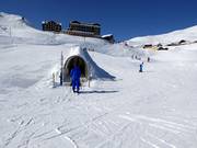 Beginner's Park Kleine Scheidegg con tappeto mobile coperto