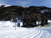 Piste da fondo a Vent