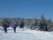 Fondisti al Kaltenbronn