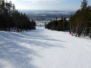 Pista Fridabranten n. 12