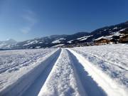 Pista da fondo da Kirchberg alla Brixental