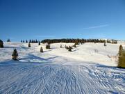 Vista sulla facile pista panoramica