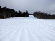 Pista The Skirts Road