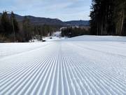 Ottima preparazione delle piste presso lo skilift Barmsee