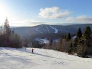 Vista dall'Hochficht verso lo Zwieselberg
