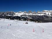 Piste facili presso gli skilift Schwammkopf e Tannenboden